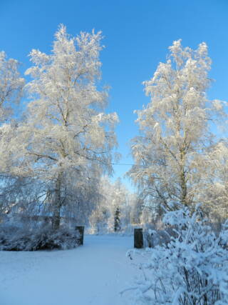 One of my hometowns in winter.