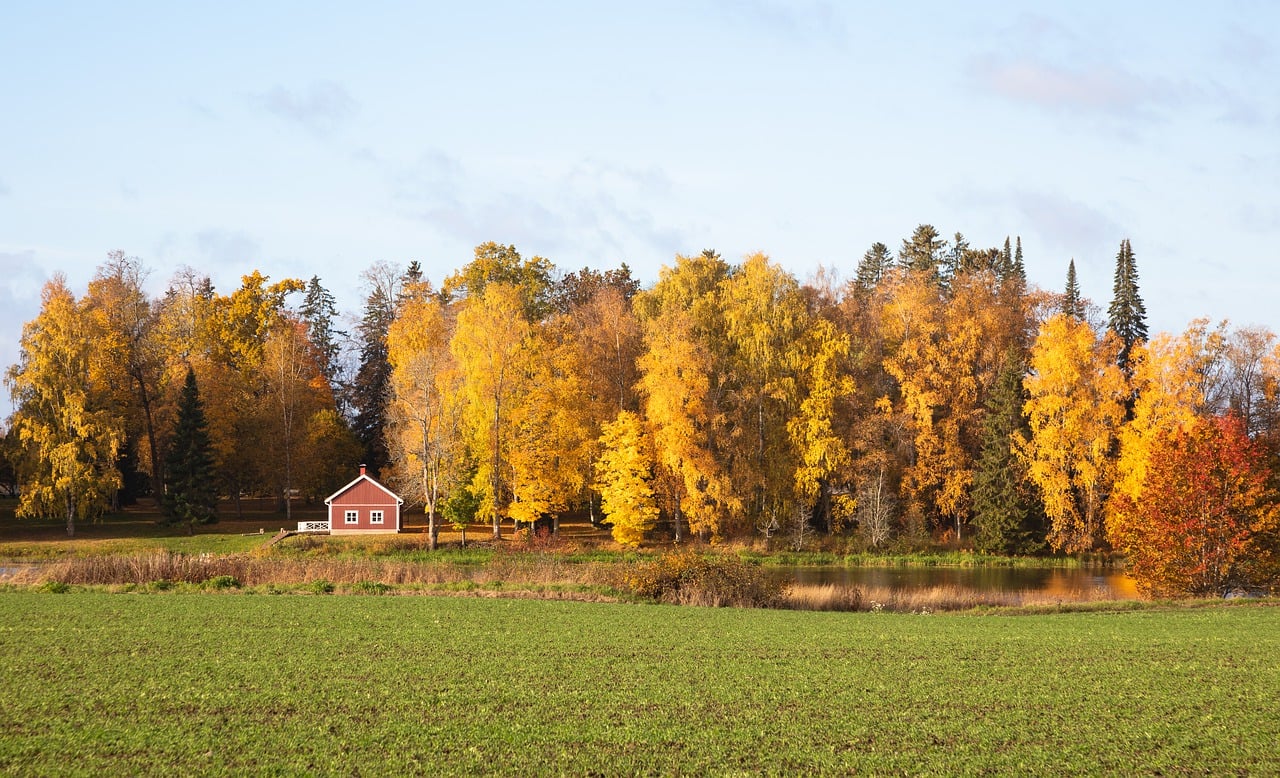 Finnish Landscape