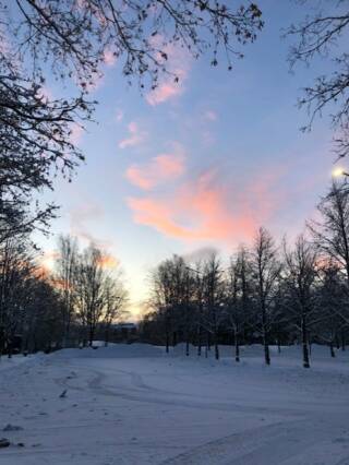 winter sky and snow