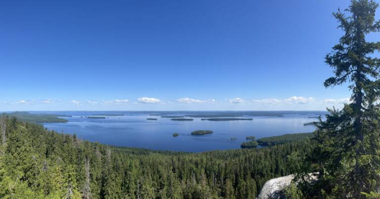 Scenery from Koli, Finland