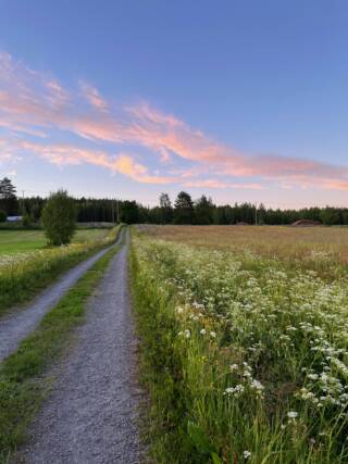 Finnish countryside