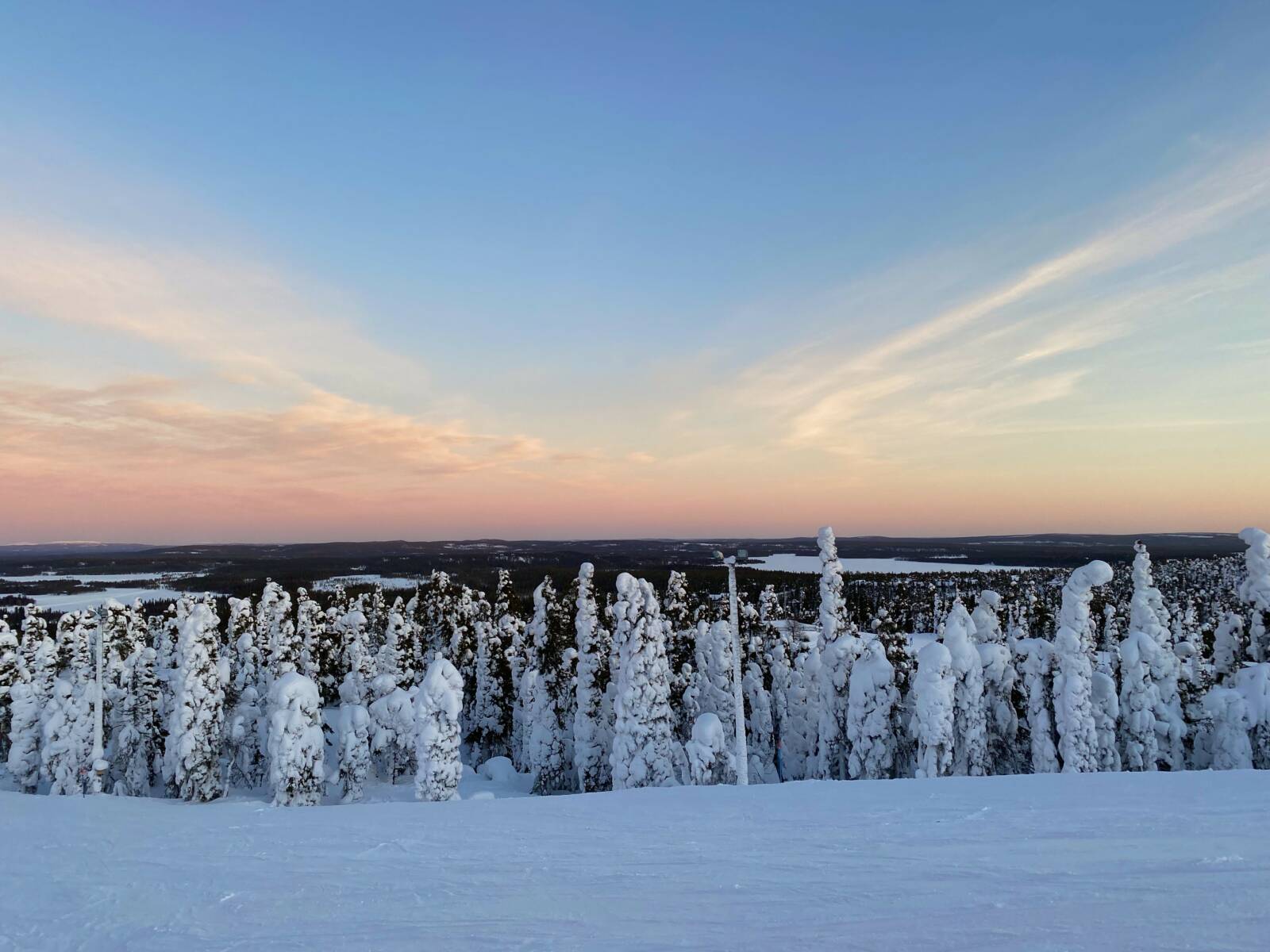 Snowy landscape