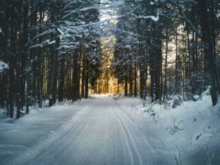 Peaceful road