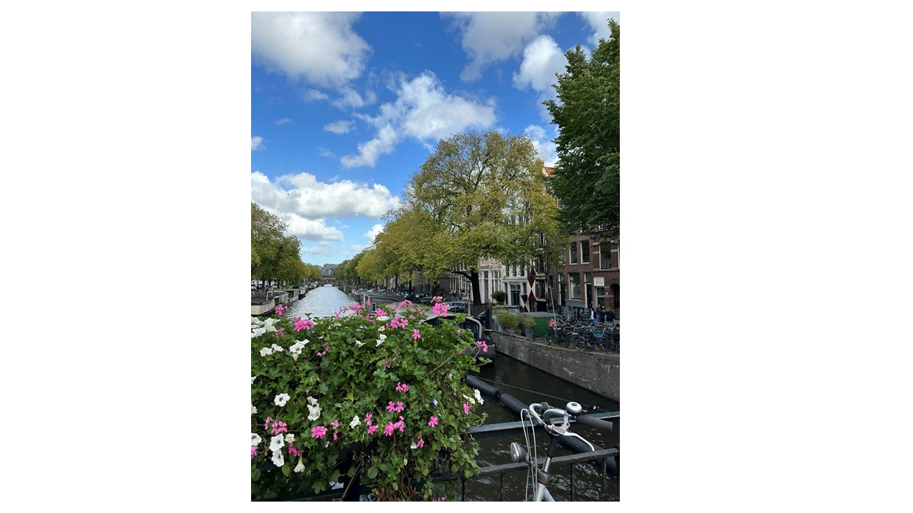 Biking in Amsterdam